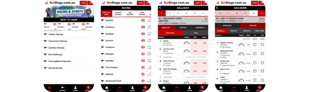 Betdogs Mobile App