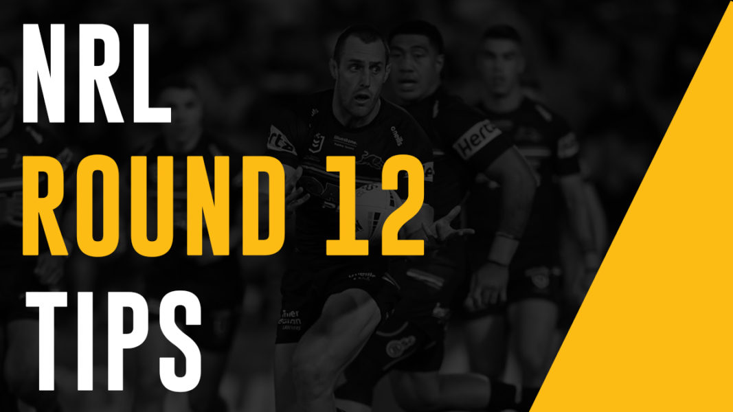 NRL Betting Tips Round 12 - Expert Tips & Predictions