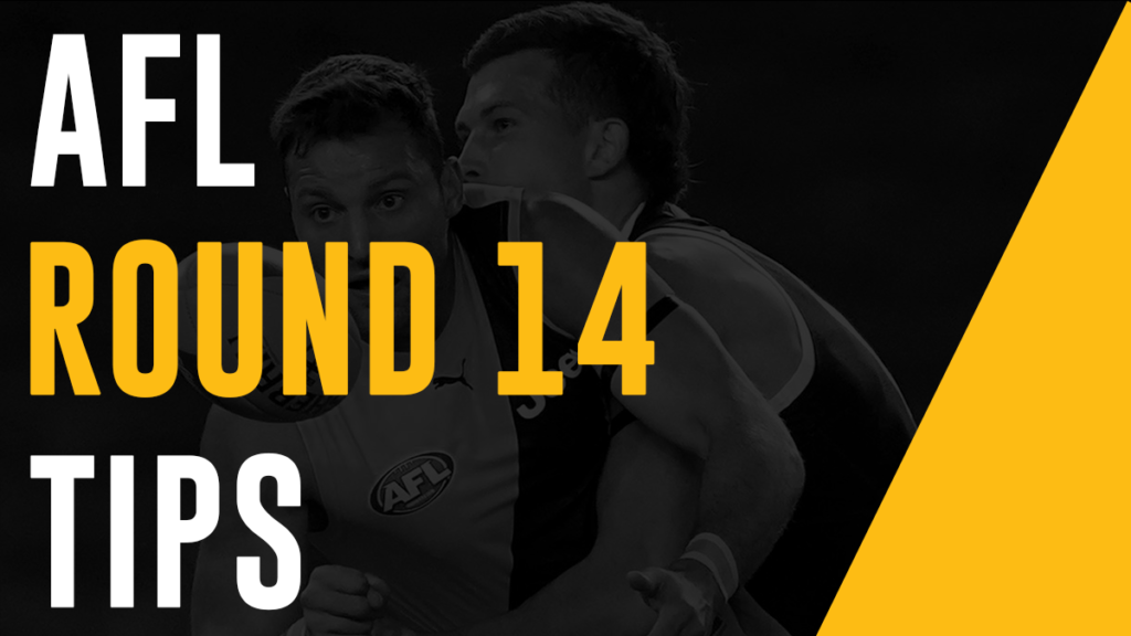 AFL Round 14 Tips