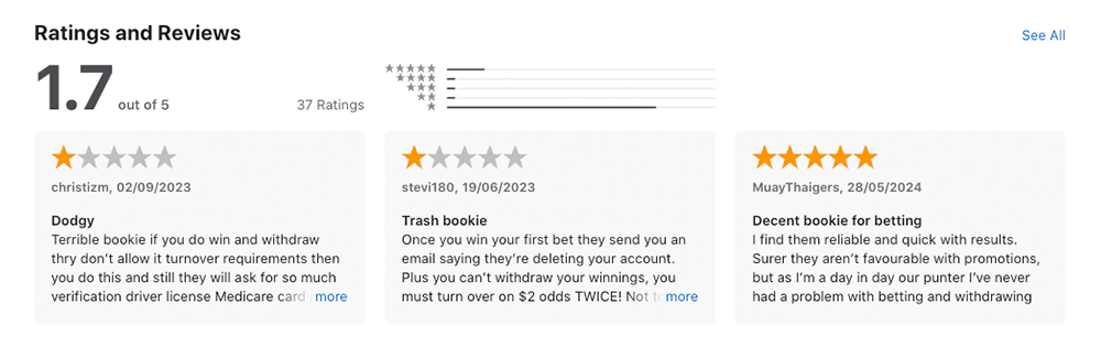 WinnersBet User Reviews