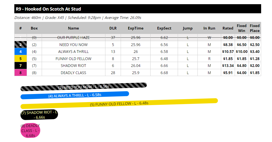 Greyhound Betting tips Warragul 