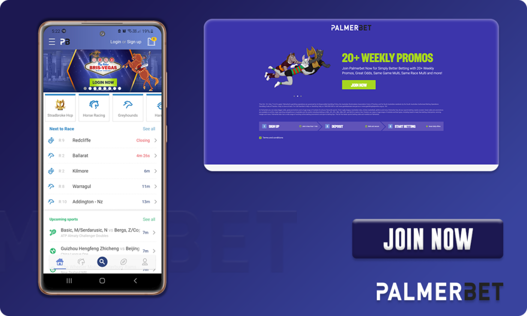 Palmerbet Betting Site User Interface