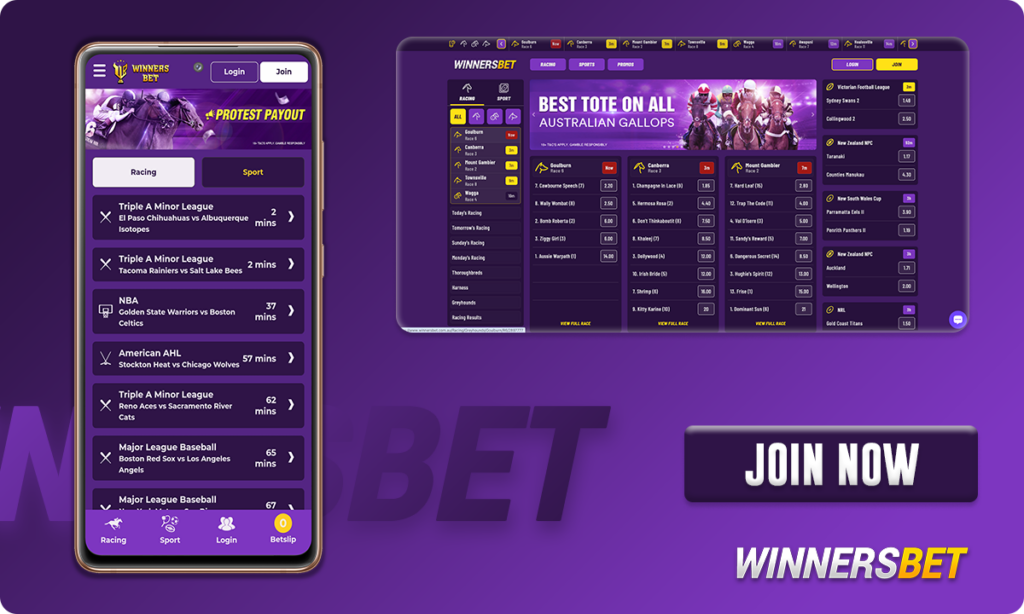 WinnersBet Betting Site User Interface