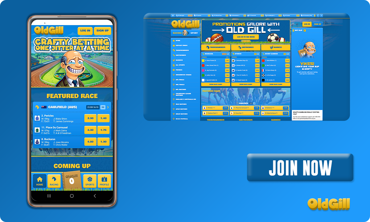 OldGill Betting Site User Interface