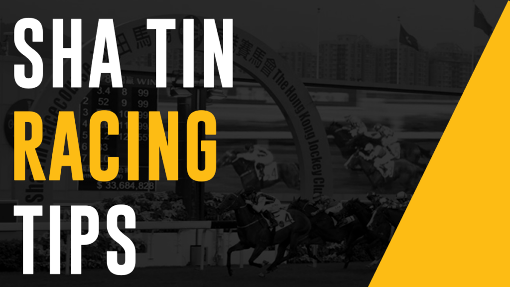 Sha Tin Tips