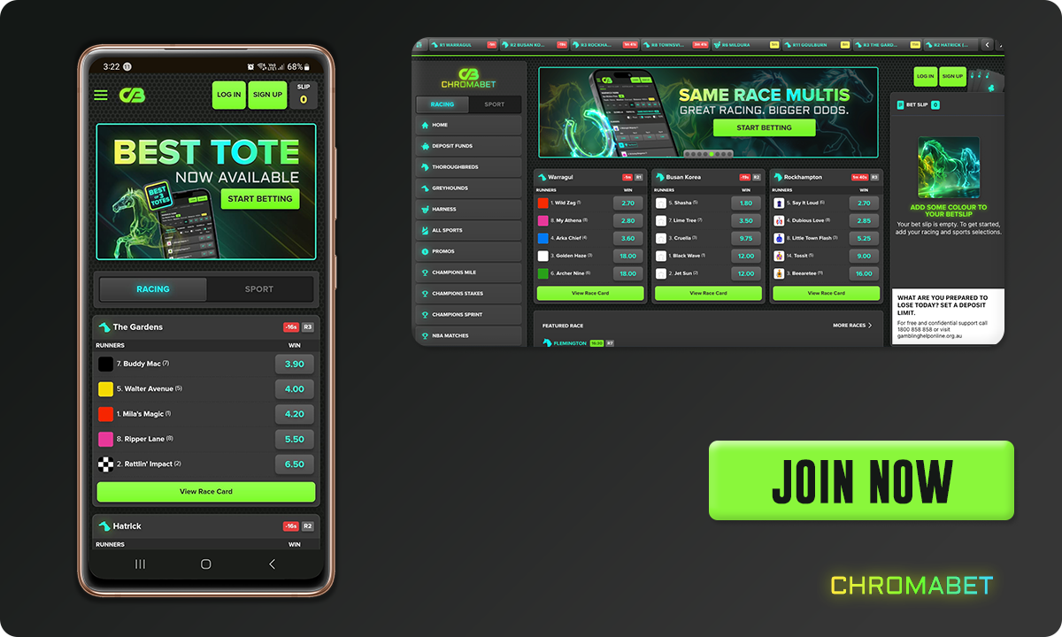 ChromaBet Betting Site User Interface